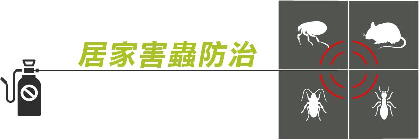 桃園除蟲公司｜白蟻防治、病媒防治專家